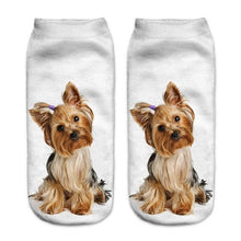 将图片加载到图库查看器，New Cartoon Cat Socks 3D Print Art Funny Socks Women Cute Low Cut Ankle Socks Made o Pure Cotton Short Socks Trending Fashion Short Ankle Socks For Men And Women
