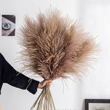 将图片加载到图库查看器，30pcs Natural Dried Pampas Grass Bouquet Pampas Grass Reeds Flowers Bulrush Bouquets Durable For for Vase Artificial Grass Room Décor Wedding Decorations
