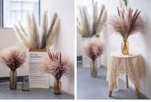 将图片加载到图库查看器，30pcs Natural Dried Pampas Grass Bouquet Pampas Grass Reeds Flowers Bulrush Bouquets Durable For for Vase Artificial Grass Room Décor Wedding Decorations
