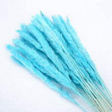 将图片加载到图库查看器，30pcs Natural Dried Pampas Grass Bouquet Pampas Grass Reeds Flowers Bulrush Bouquets Durable For for Vase Artificial Grass Room Décor Wedding Decorations
