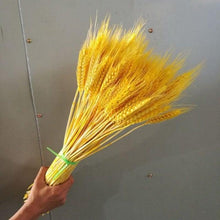 将图片加载到图库查看器，30pcs Natural Dried Pampas Grass Bouquet Pampas Grass Reeds Flowers Bulrush Bouquets Durable For for Vase Artificial Grass Room Décor Wedding Decorations
