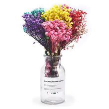 Load image into Gallery viewer, Natural Gypsophila Dried Flowers Mini Babysbreath Flower Preserve Floral  Decor Bouquet Wedding Party Home Backdrop Decor 12cm
