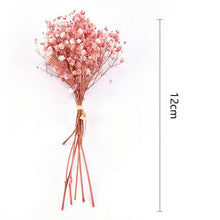 Load image into Gallery viewer, Natural Gypsophila Dried Flowers Mini Babysbreath Flower Preserve Floral  Decor Bouquet Wedding Party Home Backdrop Decor 12cm
