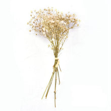 Load image into Gallery viewer, Natural Gypsophila Dried Flowers Mini Babysbreath Flower Preserve Floral  Decor Bouquet Wedding Party Home Backdrop Decor 12cm
