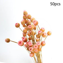 Load image into Gallery viewer, Natural Gypsophila Dried Flowers Mini Babysbreath Flower Preserve Floral  Decor Bouquet Wedding Party Home Backdrop Decor 12cm
