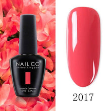 Load image into Gallery viewer, Womens Gel Nail Polish Multi Glossy and Matte Colors Elegant Manicure Design For Womens
