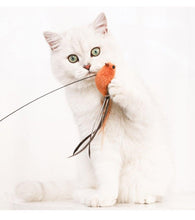 Load image into Gallery viewer, Funny Feather Bird with Bell Cat Stick Toy for Kitten Playing Teaser Wand Toy Cat Supplies Interactive Wiggle Moving Cat Kicker Toy with Plush Interactive Cat Toys Fun Toy For Cat Exercise
