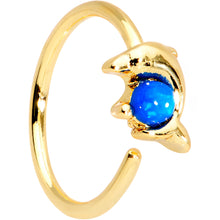 将图片加载到图库查看器，20G Blue Gem Gold Tone Anodized Dolphin Seamless Circular Ring
