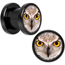 将图片加载到图库查看器，Full Color Owl Black Anodized Screw Fit Plug Set 0G
