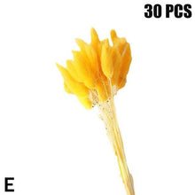 Load image into Gallery viewer, Real Dried Grass Reed Flower Natural Dry Small Bulrush Bouquet Pampas Reeds Home Decoration Wedding Decor Pompass Grass Branches for Vase Artificial Grass Room Décor Wedding Decorations
