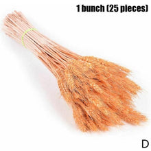 Load image into Gallery viewer, Real Dried Grass Reed Flower Natural Dry Small Bulrush Bouquet Pampas Reeds Home Decoration Wedding Decor Pompass Grass Branches for Vase Artificial Grass Room Décor Wedding Decorations
