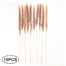 Load image into Gallery viewer, Real Dried Grass Reed Flower Natural Dry Small Bulrush Bouquet Pampas Reeds Home Decoration Wedding Decor Pompass Grass Branches for Vase Artificial Grass Room Décor Wedding Decorations
