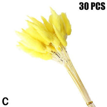 Load image into Gallery viewer, Real Dried Grass Reed Flower Natural Dry Small Bulrush Bouquet Pampas Reeds Home Decoration Wedding Decor Pompass Grass Branches for Vase Artificial Grass Room Décor Wedding Decorations
