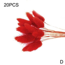 Load image into Gallery viewer, Real Dried Grass Reed Flower Natural Dry Small Bulrush Bouquet Pampas Reeds Home Decoration Wedding Decor Pompass Grass Branches for Vase Artificial Grass Room Décor Wedding Decorations
