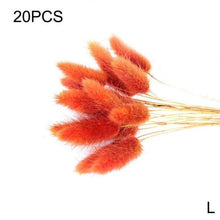 Load image into Gallery viewer, Real Dried Grass Reed Flower Natural Dry Small Bulrush Bouquet Pampas Reeds Home Decoration Wedding Decor Pompass Grass Branches for Vase Artificial Grass Room Décor Wedding Decorations
