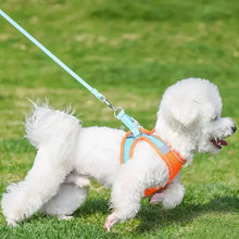 Load image into Gallery viewer, Reflective Dogs Harness with Leash Adjustable Harness Vest Breathable Collars
