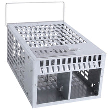 将图片加载到图库查看器，Reusable Metal Rat Cage Catch Release Continuous Capture
