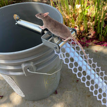 将图片加载到图库查看器，Roll Trap Log Rolling Mouse Catcher with 19.69" Mesh Ramp
