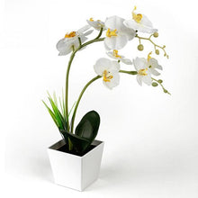 Load image into Gallery viewer, Simulation Lifelike Simple Potted Decor Artificial Bonsai Pine Tree Decorative Bonsai Ornaments Fake Gift Artificial Accessories Fake Flowers Arrangements for Home Decoration
