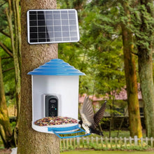 将图片加载到图库查看器，Smart Bird Feeder with Solar Powered Camera 1080P HD AI Identify PIR
