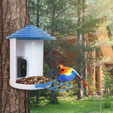 将图片加载到图库查看器，Smart Bird Feeder with Solar Powered Camera 1080P HD AI Identify PIR
