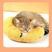 将图片加载到图库查看器，Soft Fluffy Pillows For Indoor Cats
