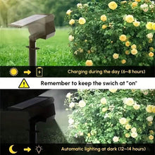Load image into Gallery viewer, Solar Landscape Outdoor Spotlights
