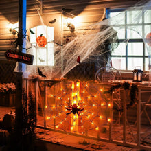 Load image into Gallery viewer, Spider Web Light with Hairy Spider 70LED Battery Powered Remote Control 8 Lighting Modes
