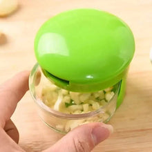 Load image into Gallery viewer, Stainless Steel Garlic Presses Manual Garlic Mincer

