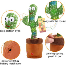 将图片加载到图库查看器，Talking Dancing Cactus
