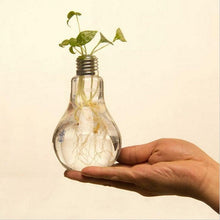 Load image into Gallery viewer, Transparent Glass Bulb Lamp Shape Flower Water Plant Hanging Vase Hydroponic Container Pot For Home Wedding Decoration for Wedding Living Room, Office Party Gift Vase
