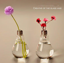 Load image into Gallery viewer, Transparent Glass Bulb Lamp Shape Flower Water Plant Hanging Vase Hydroponic Container Pot For Home Wedding Decoration for Wedding Living Room, Office Party Gift Vase
