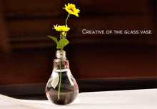 Load image into Gallery viewer, Transparent Glass Bulb Lamp Shape Flower Water Plant Hanging Vase Hydroponic Container Pot For Home Wedding Decoration for Wedding Living Room, Office Party Gift Vase
