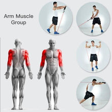 将图片加载到图库查看器，Ultimate Home Workout Set
