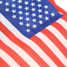 Load image into Gallery viewer, USA American String Pennant Banners
