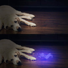 将图片加载到图库查看器，UV Flashlight Black Light
