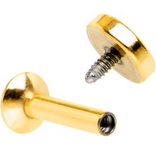 将图片加载到图库查看器，1/4 Gold IP 4mm Circle Internal Thread Daith Cartilage Tragus
