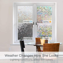 Load image into Gallery viewer, Window Privacy Film Static Window Sticker
