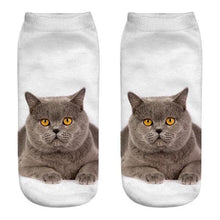 将图片加载到图库查看器，Women's Funny Animal Cute 3D Print Kitten Socks Women Ankle Socks Unisex Socks Fashion Socks Cartoon Cat Fashion Style Casual Boat Socks For Men And Women
