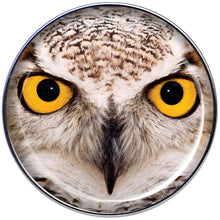 Load image into Gallery viewer, 16G 1/4 Full Color Owl Tragus Cartilage Earring
